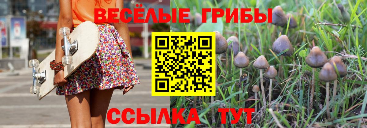 Кыштым  Псилоцибиновые грибы Psilocybe  Вход с VPN 